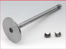 Intake Valve for Caterpillar 3208 Natural and Turbo engines
