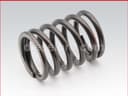 Valve Spring for Caterpillar 3208 Turbo engine