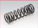 Valve Spring for Caterpillar 3406E