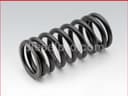 Valve Spring for Caterpillar 3406E