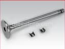 Cummins Exhaust Valve