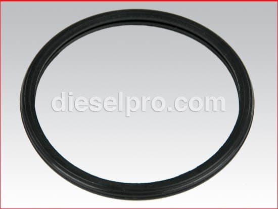 Cummins Thermostat Seal
