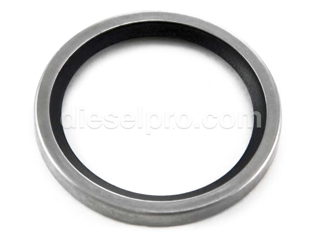 Thermostat Seal