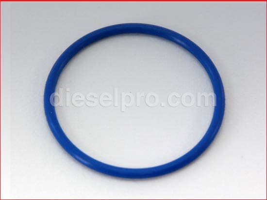 Detroit Diesel O ring, blower bypass